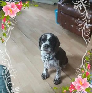 Meet your Posher, Tina